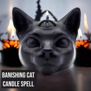 Cat Banishing Figure Spell Candle
